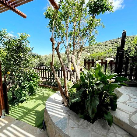 Platipodi Stone House Villa Nikithianos Ngoại thất bức ảnh